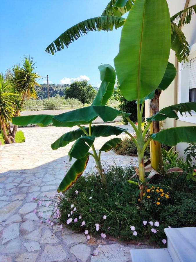 Apartamento Morfi Kalligoni Exterior foto