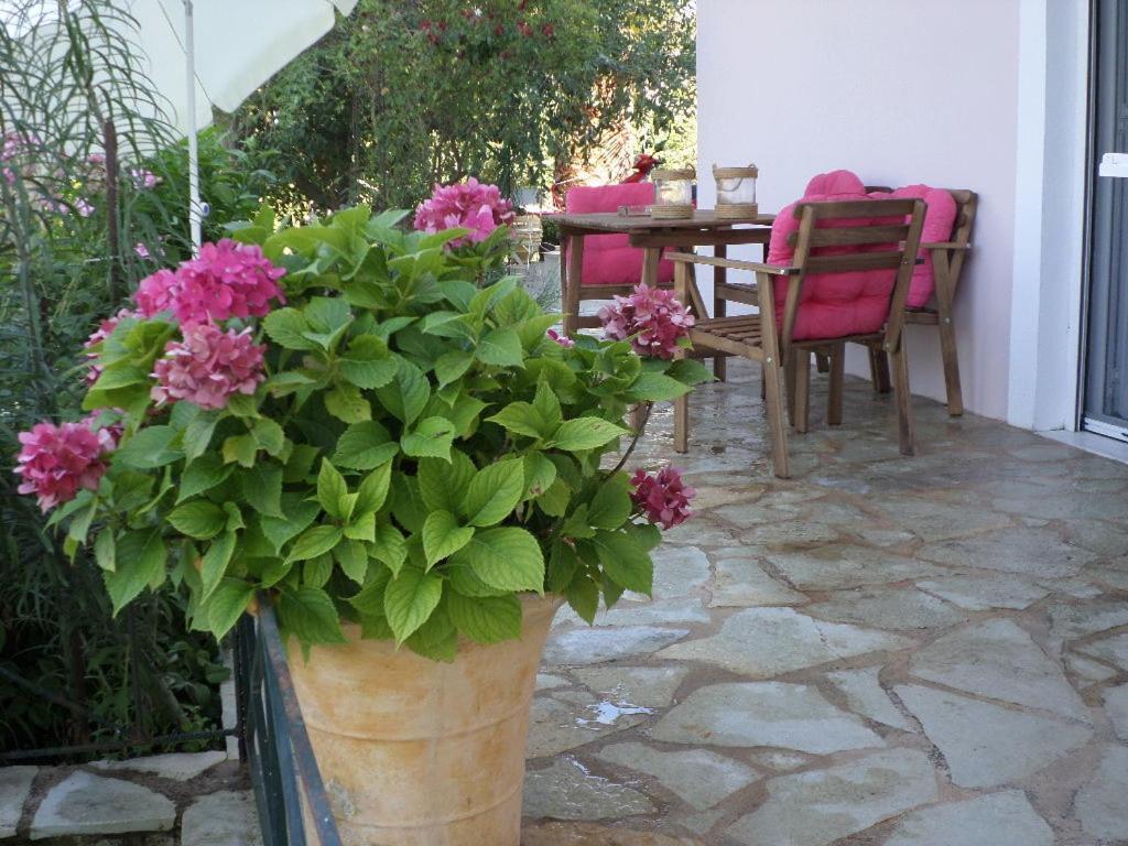 Apartamento Morfi Kalligoni Habitación foto